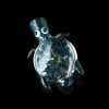 Glassheads 3.5" Sea turtle One-Hitter Pendant Pipe - Aqua