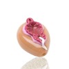 Empire Glassworks Cream Pie Pussy Pipe