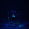 Empire Glassworks Illuminora Mushrooms Recycler / 6