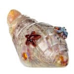 Whimsical Conch Shell Glass Hand Pipe - Aurora Delight