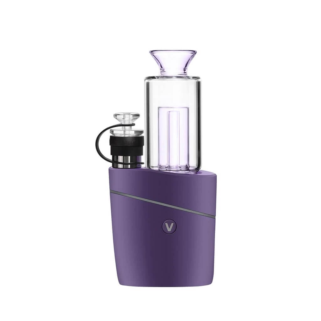 Lavender Purple