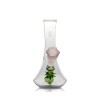 Hemper Flower Vase Bong - 09