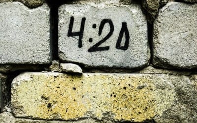 It’s 420 Somewhere, But What Does 420 Mean? 4.5 (2)