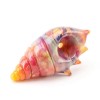 Empire Glassworks Seashell 14mm Bowl - 03