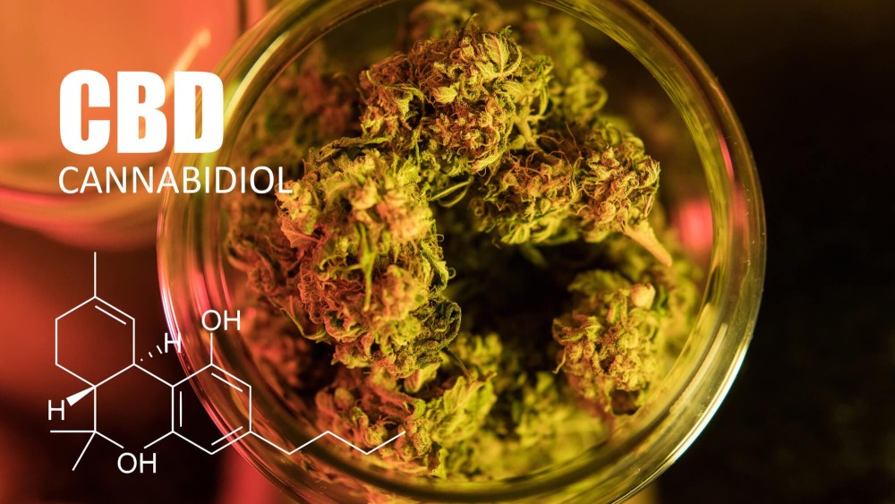 How Can You Tell If CBD Flower Is High-Quality and Safe To Use