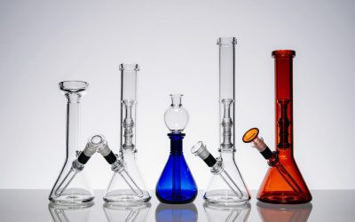 How to Choose Bongs: A Step-by-Step Guide for 2025 0 (0)