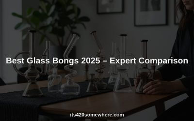 Best Glass Bongs 2025 – Expert Comparison 0 (0)